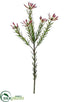 Silk Plants Direct Protea Spray - Green Plum - Pack of 12
