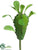 Madagascar Pick - Green - Pack of 24