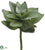 Echeveria Spray - Green - Pack of 3