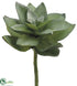 Silk Plants Direct Echeveria Spray - Green - Pack of 3