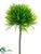 Moss Grass Pick - Green - Pack of 36