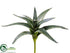 Silk Plants Direct Aloe Plant - Green Dark - Pack of 12