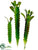 Saguaro Cactus - Green - Pack of 24