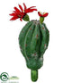 Silk Plants Direct Echinocereus Cactus - Green Red - Pack of 24