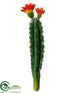 Silk Plants Direct Peruvian Cactus - Green Orange - Pack of 24