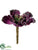 Ruffle Sedum Spray - Plum Green - Pack of 24