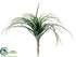 Silk Plants Direct Tillandsia - Green Gray - Pack of 6