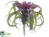 Silk Plants Direct Tillandsia Pick - Green Burgundy - Pack of 6