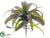 Silk Plants Direct Tillandsia Pick - Green Gray - Pack of 6