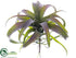 Silk Plants Direct Tillandsia Pick - Green Gray - Pack of 6