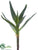 Silk Plants Direct Agave Pick - Green Gray - Pack of 12