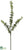 Money Plant Spray - Green - Pack of 12