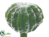 Silk Plants Direct Barrel Cactus Pick - Green - Pack of 24