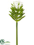 Silk Plants Direct Aeonium Pick - Green Cream - Pack of 12