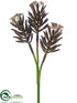 Silk Plants Direct Aeonium Pick - Brown - Pack of 12
