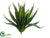 Agave Bush - Green - Pack of 12