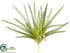 Silk Plants Direct Aloe Pick - Green - Pack of 24