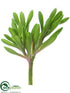 Silk Plants Direct Aeonium Pick - Green - Pack of 36