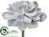 Silk Plants Direct Echeveria Pick - Gray Green - Pack of 6