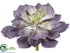 Silk Plants Direct Echeveria Pick - Purple Green - Pack of 6