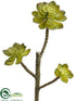 Silk Plants Direct Echeveria Pick - Green - Pack of 12