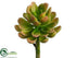 Silk Plants Direct Echeveria Pick - Green Mauve - Pack of 24