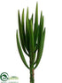 Silk Plants Direct Senecio Pick - Green - Pack of 24