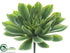 Silk Plants Direct Echeveria Pick - Green - Pack of 4
