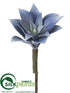 Silk Plants Direct Echeveria Pick - Lavender Gray - Pack of 24