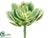 Silk Plants Direct Echeveria Pick - Green Pink - Pack of 12