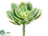 Silk Plants Direct Echeveria Pick - Green Pink - Pack of 12