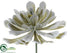 Silk Plants Direct Aeonium Pick - Green Gray - Pack of 36