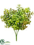 Silk Plants Direct Jade Plant - Green Burgundy - Pack of 24