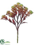 Silk Plants Direct Sedum Pick - Burgundy Green - Pack of 36