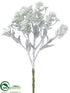 Silk Plants Direct Sedum Pick - White Green - Pack of 36