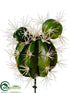 Silk Plants Direct Cactus Pick - Green - Pack of 12