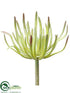 Silk Plants Direct Aeonium Pick - Green - Pack of 12