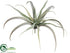 Silk Plants Direct Tillandsia - Green - Pack of 24