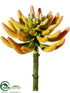 Silk Plants Direct Spike Aeonium Pick - Yellow Lime - Pack of 6