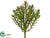 Protea Pick - Green - Pack of 12