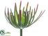 Silk Plants Direct Aeonium Pick - Green Burgundy - Pack of 12
