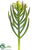 Silk Plants Direct Senecio Pick - Green Burgundy - Pack of 12