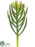 Silk Plants Direct Senecio Pick - Green Burgundy - Pack of 12