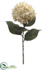 Silk Plants Direct Hydrangea Spray - Beige Charming - Pack of 12