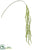 Silk Plants Direct Amaranthus Hanging Spray - Lime - Pack of 12