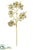 Metallic Dogwood Spray - Champagne - Pack of 12