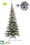 Snowed Noble Fir Tree w/Multi Function Multi 900 LED Light - Snow - Pack of 1