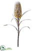 Silk Plants Direct Snowed Banksia Spray - Beige Snow - Pack of 12