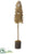 Snowed Preserved Leaf Tree Topiary - Brown Snow - Pack of 2