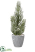 Silk Plants Direct Snowed Pine - Green Snow - Pack of 6